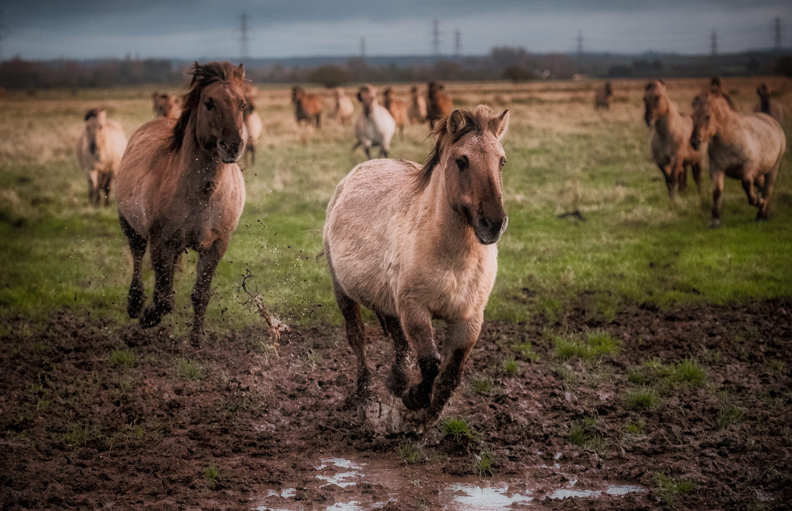 About Richard Howell Photography - A Cambridge Photographer