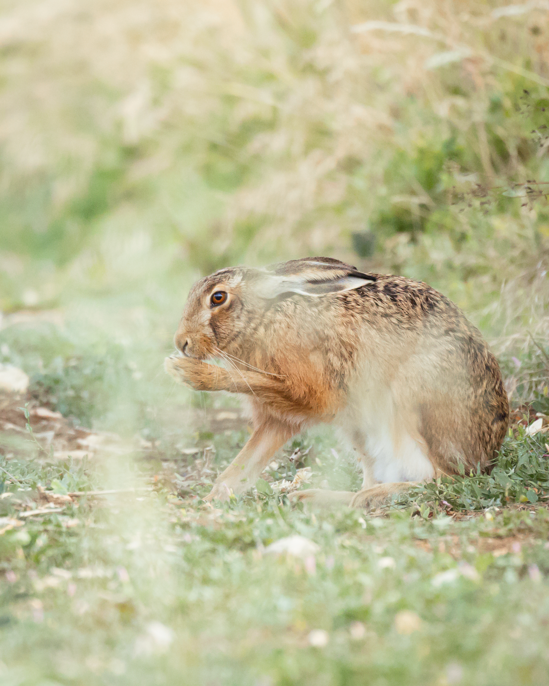 About Richard Howell Photography - A Cambridge Photographer