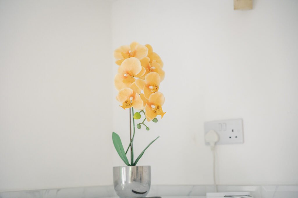 Cambridge Property & Interior Photography Cambridge Property & Interior Photography