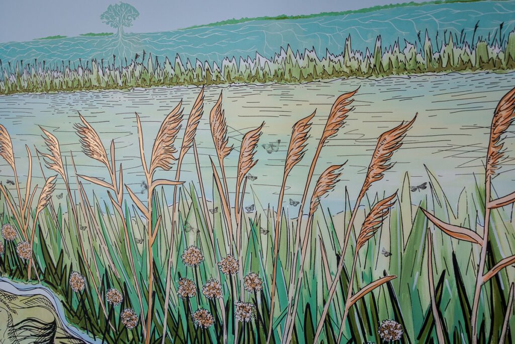 Behind the Scenes: Mural Creation for Ely Museum’s Summer Exhibition Behind the Scenes: Mural Creation for Ely Museum’s Summer Exhibition