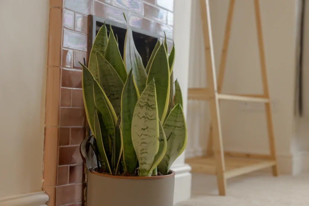 Cambridge Airbnb Photography - Modern Two-Bed Home with Garden Cambridge Airbnb Photography - Modern Two-Bed Home with Garden