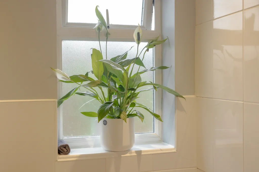 Cambridge Airbnb Photography - Modern Two-Bed Home with Garden Cambridge Airbnb Photography - Modern Two-Bed Home with Garden