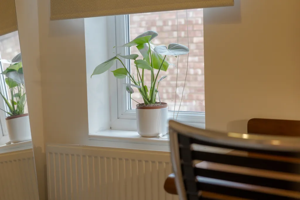 Cambridge Airbnb Photography - Modern Two-Bed Home with Garden Cambridge Airbnb Photography - Modern Two-Bed Home with Garden